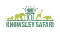Knowsley Safari