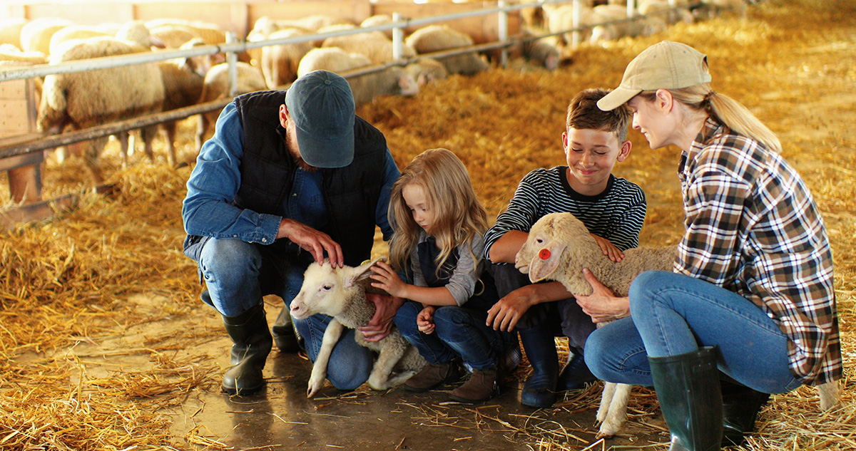 Growing farm park secondary spend and season pass sales