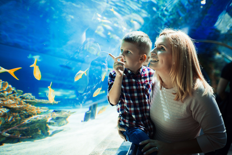 Mum and child pointing to fish in an aquarium