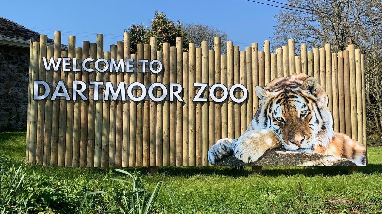 Welcome to Dartmoor Zoo