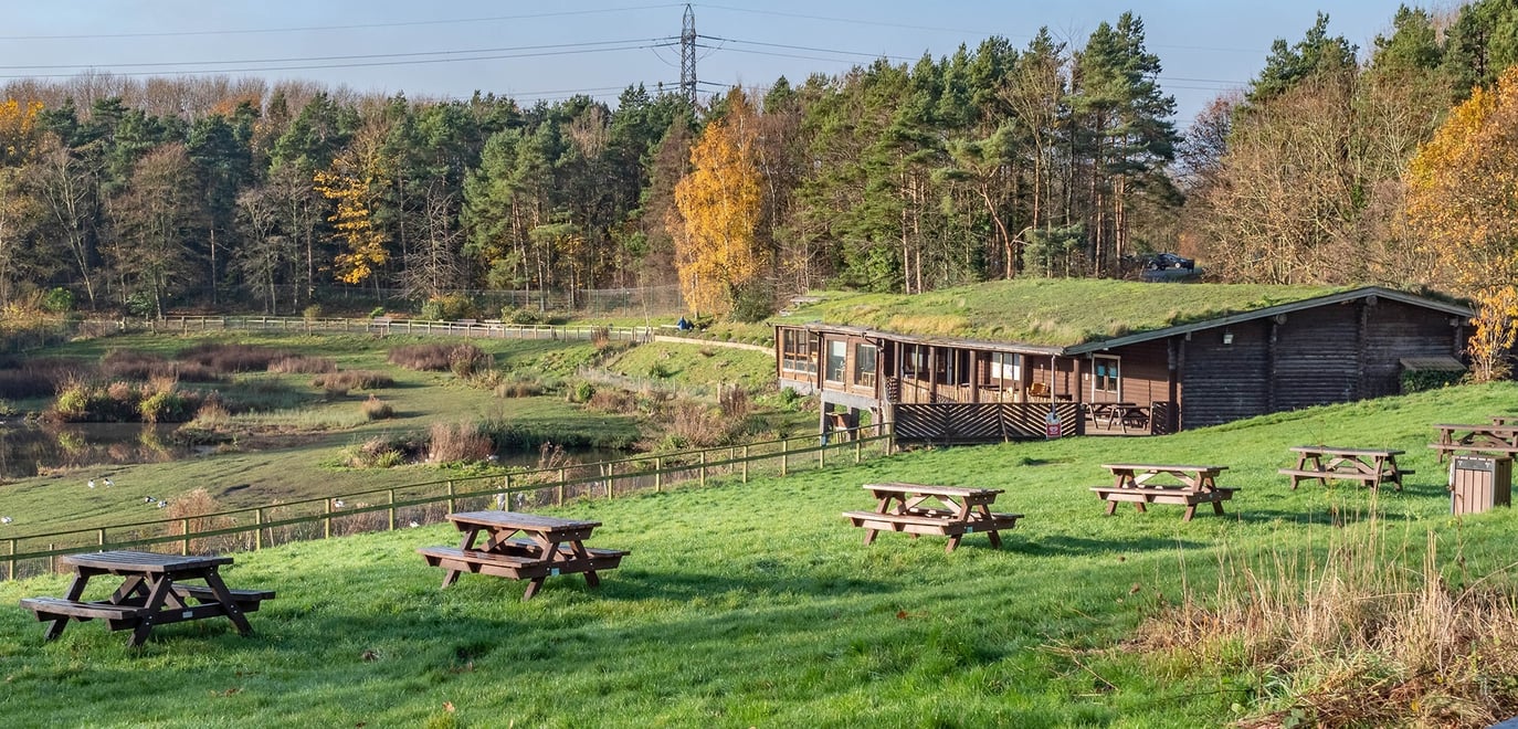 Stream-channel-picnic-area