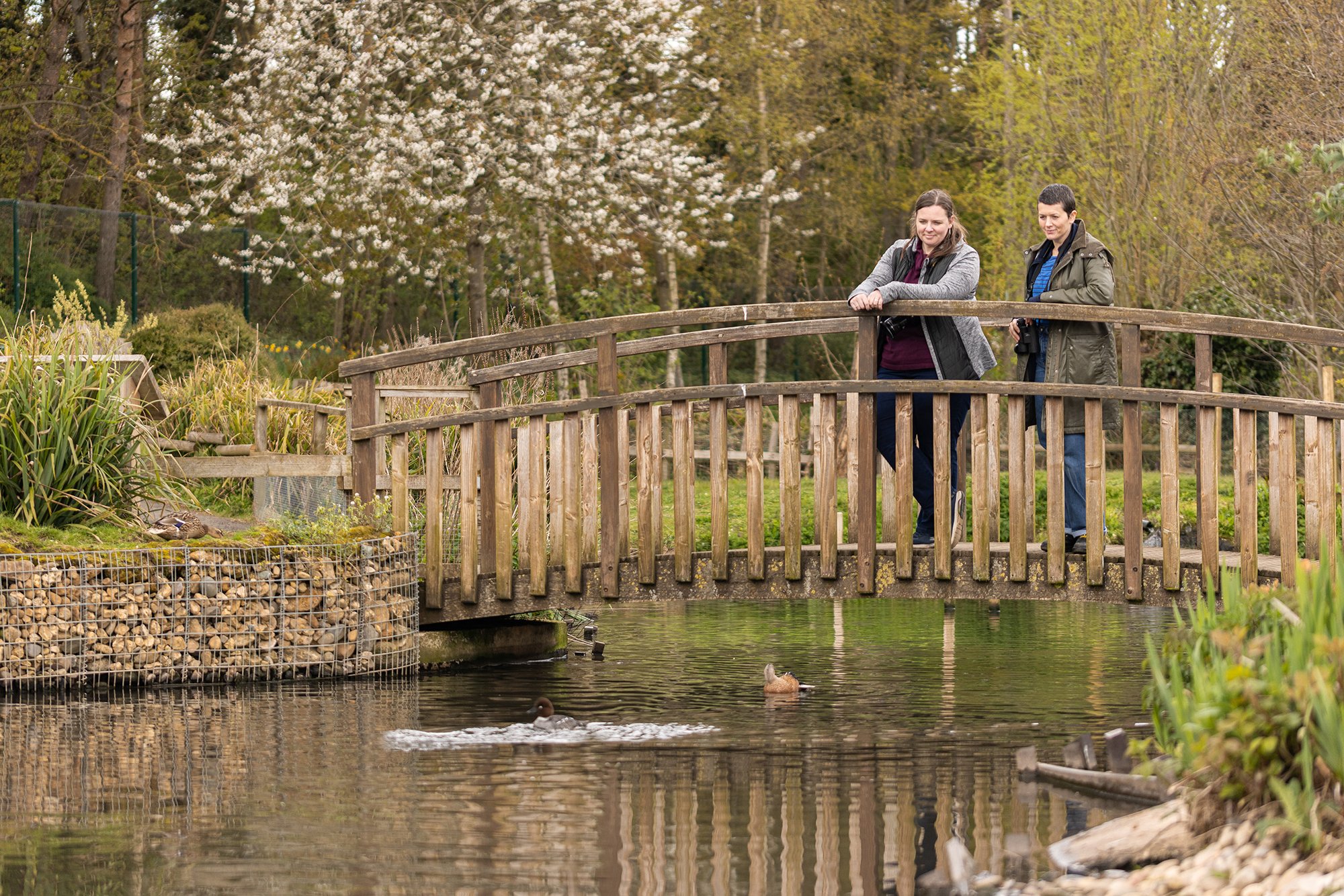 Visitors-on-bridge---Close-Encounters---Becs-(1)
