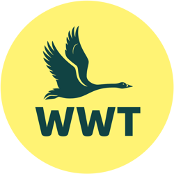 WWT logo