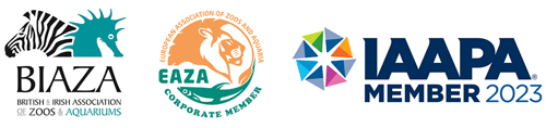 aquarium logos