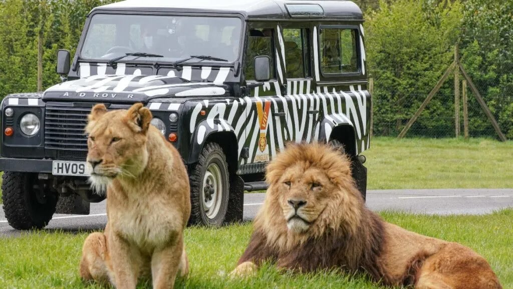 longleat-safari-park-1024x578