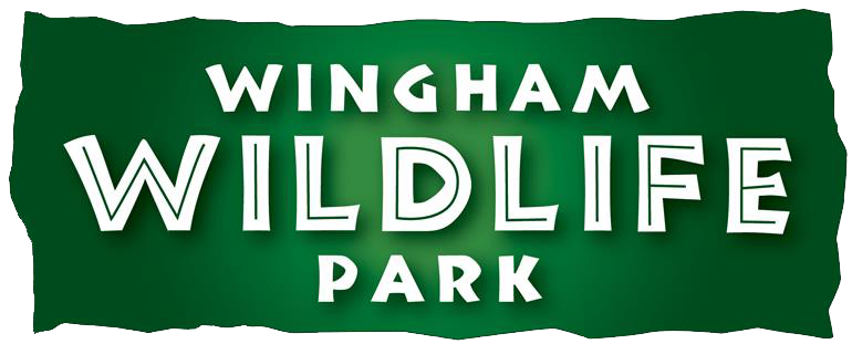 wingham logo
