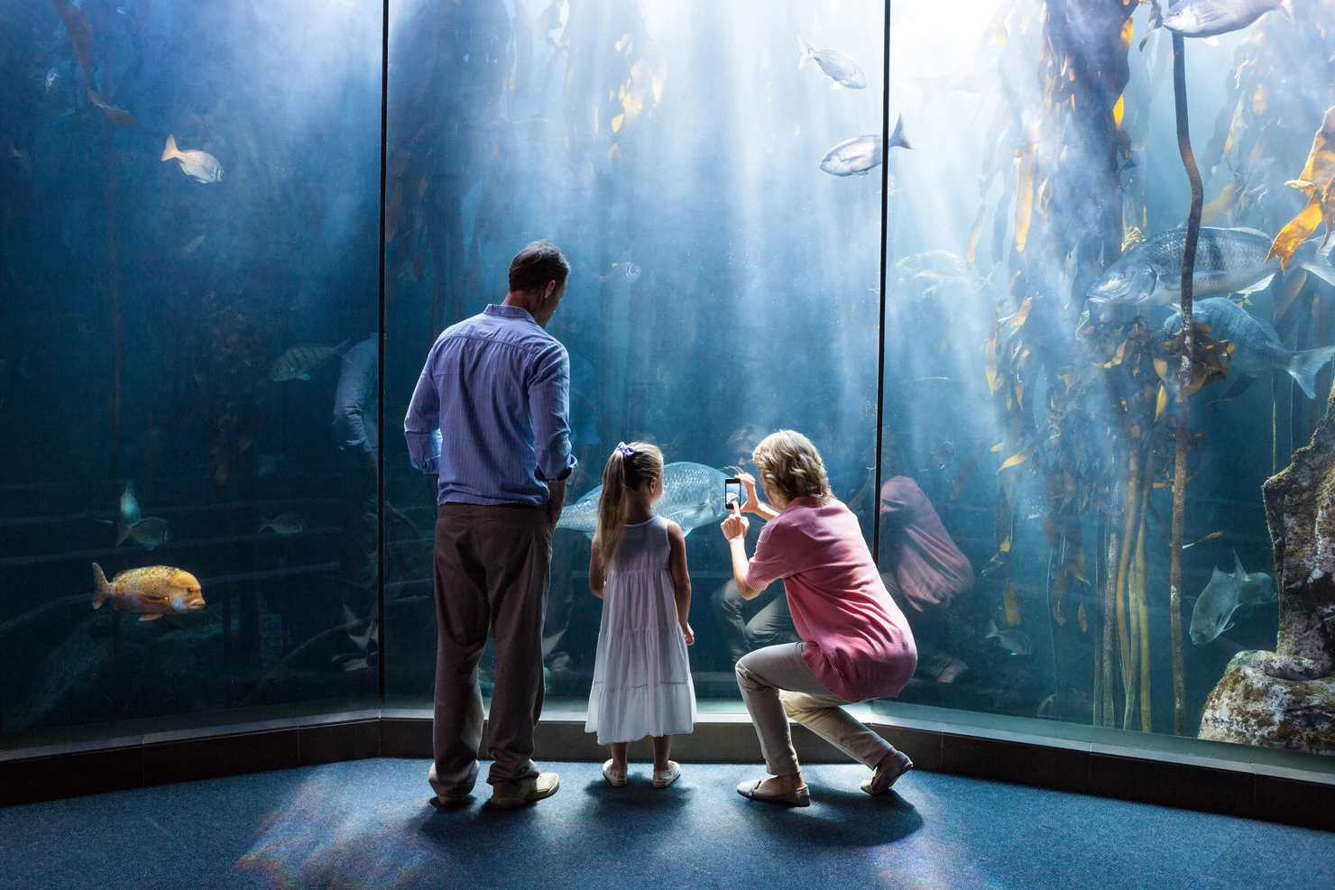 Audience engagement technology to create sustained awareness of marine conservation. 